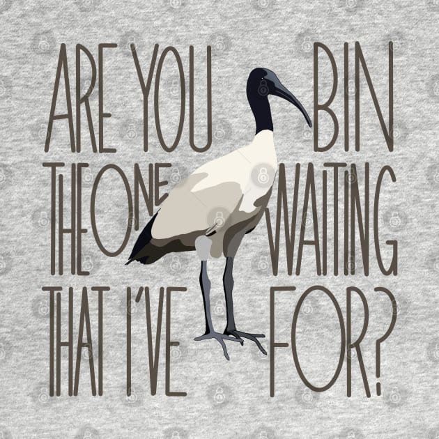 Are You The One That I’ve Bin Waiting For? (bin chicken, ibis) by Kary Pearson